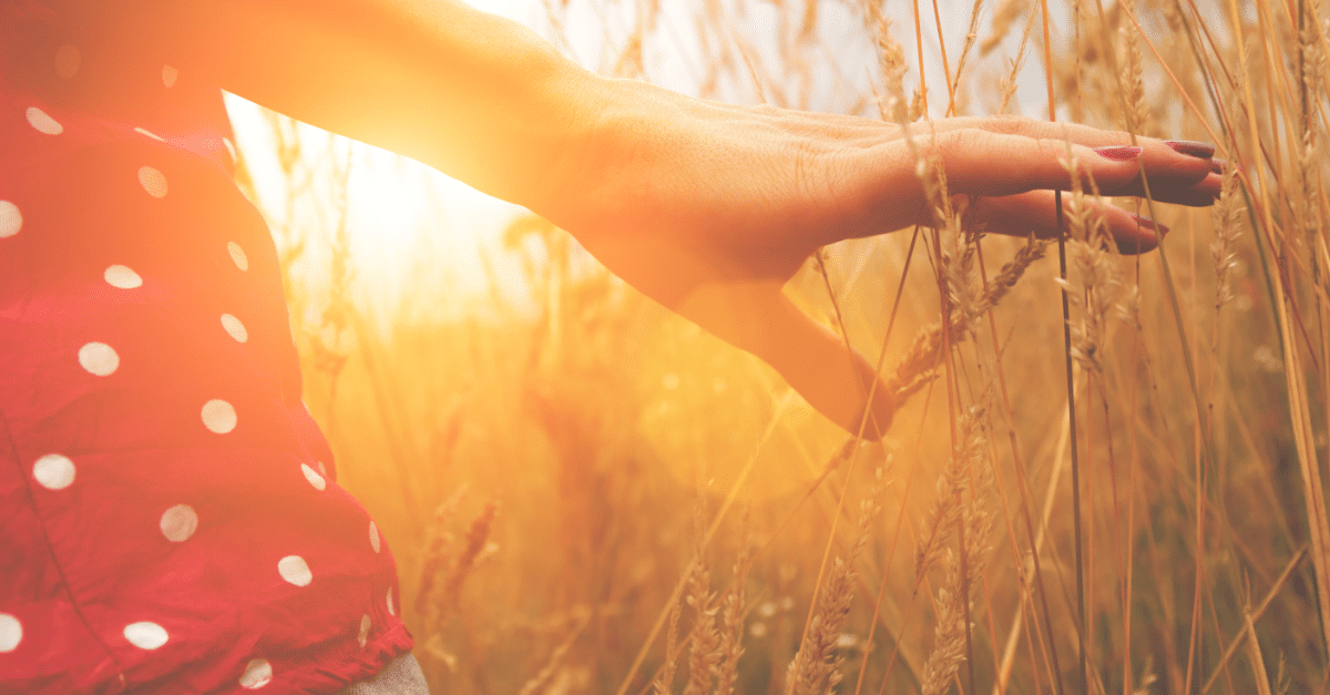 girl in red polka dot shirt and jeans walking through a sunny wheat field touching the wheat with her fingers
